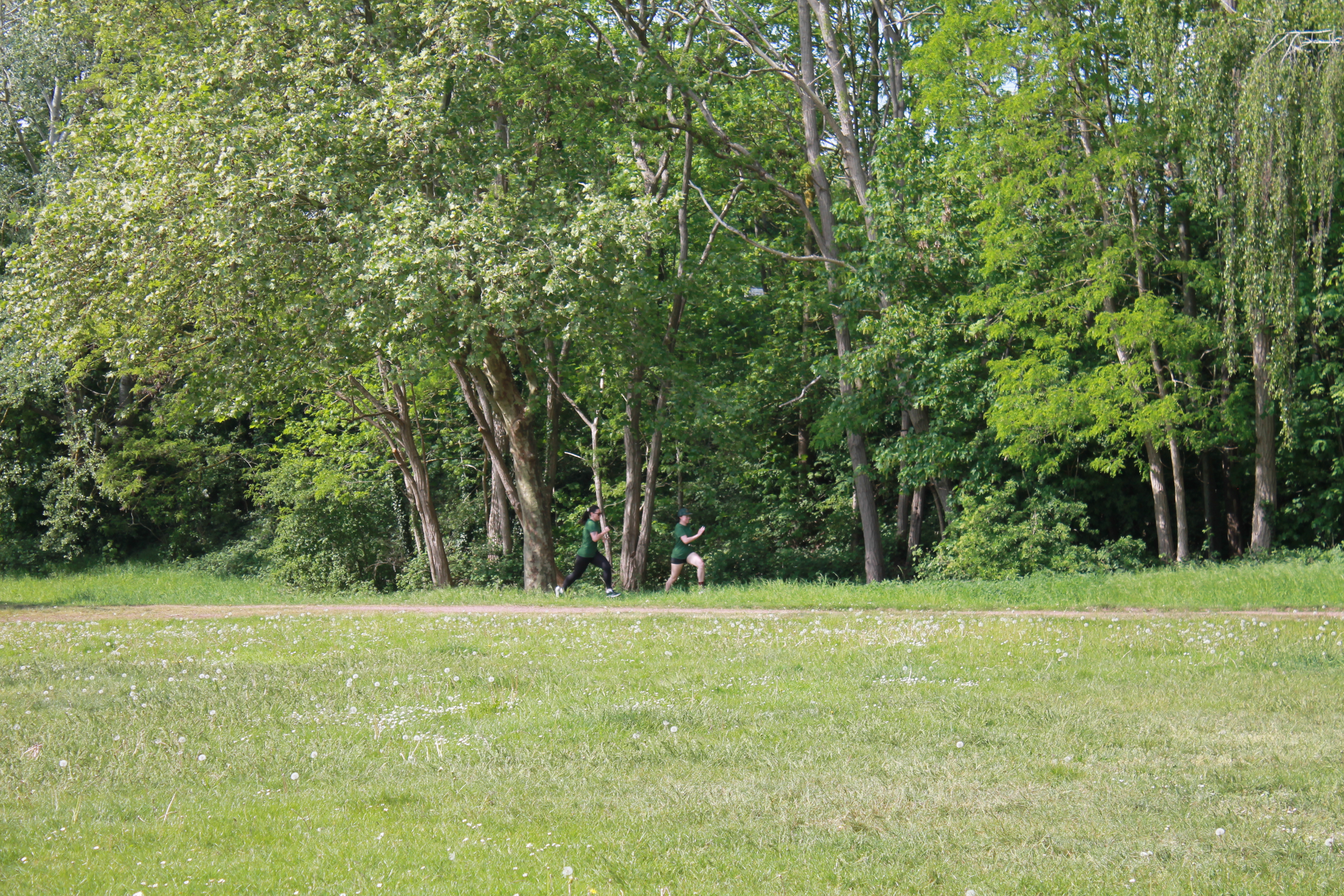 IMG_2081.JPG