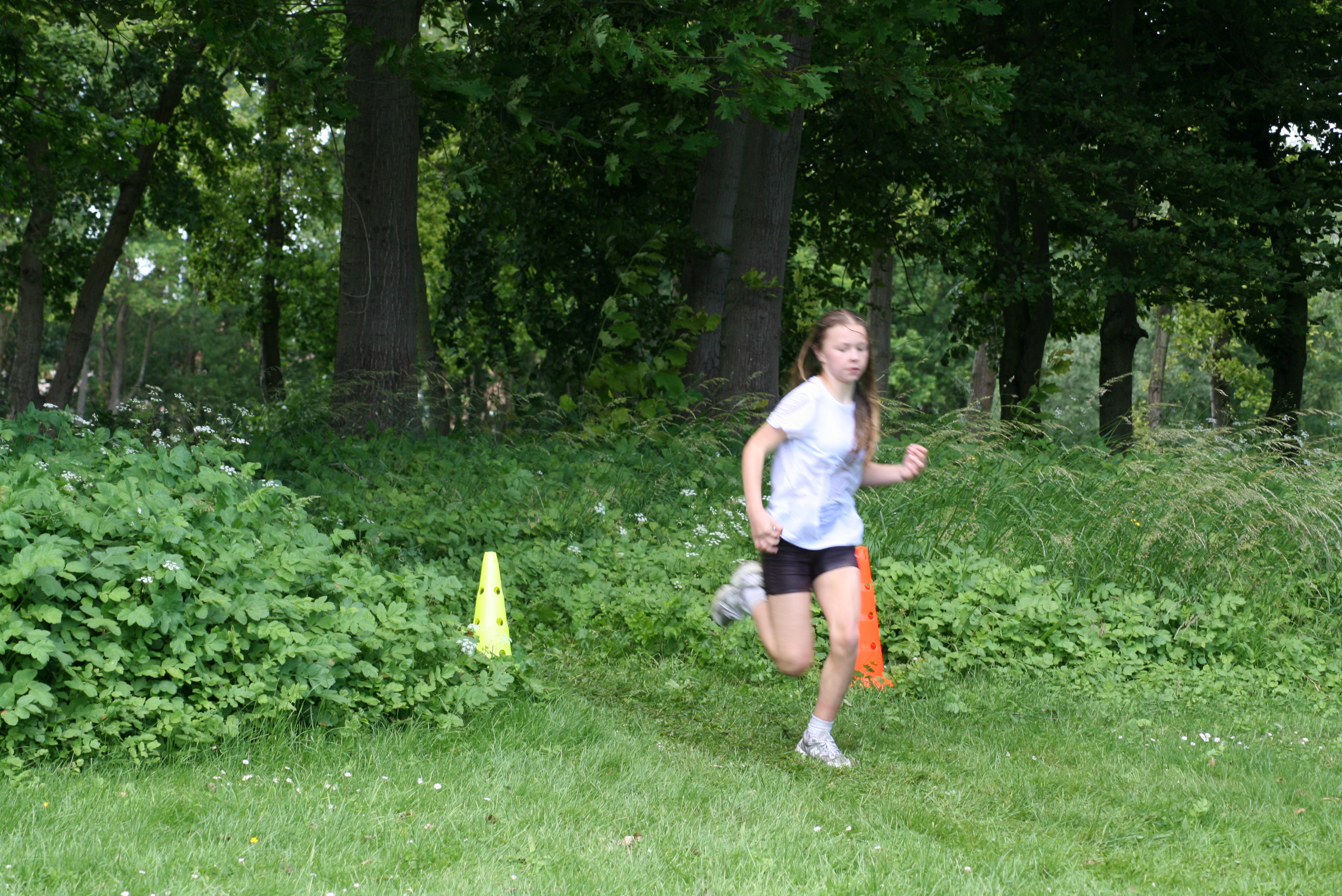 IMG_7677.JPG