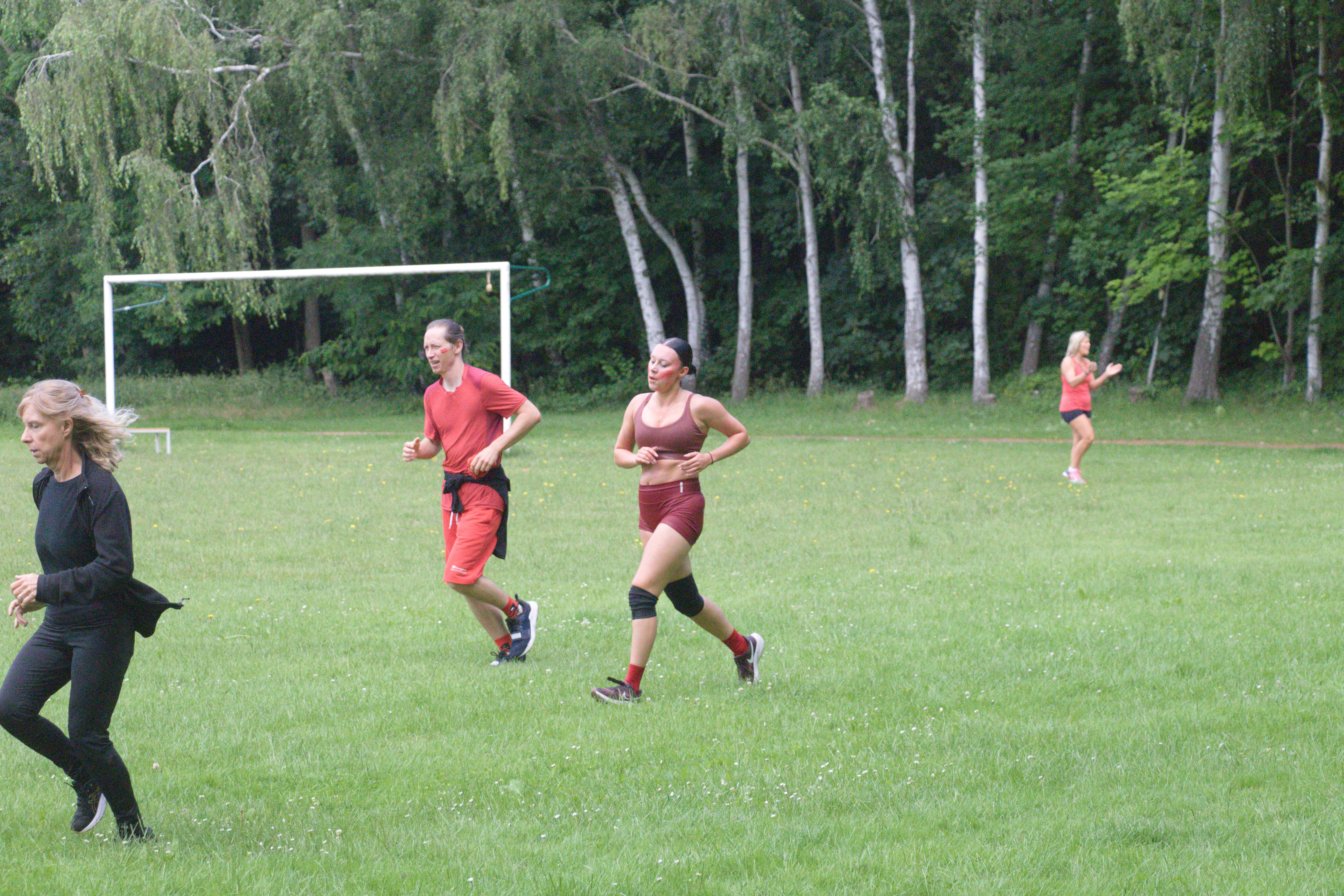 IMG_7980.jpg