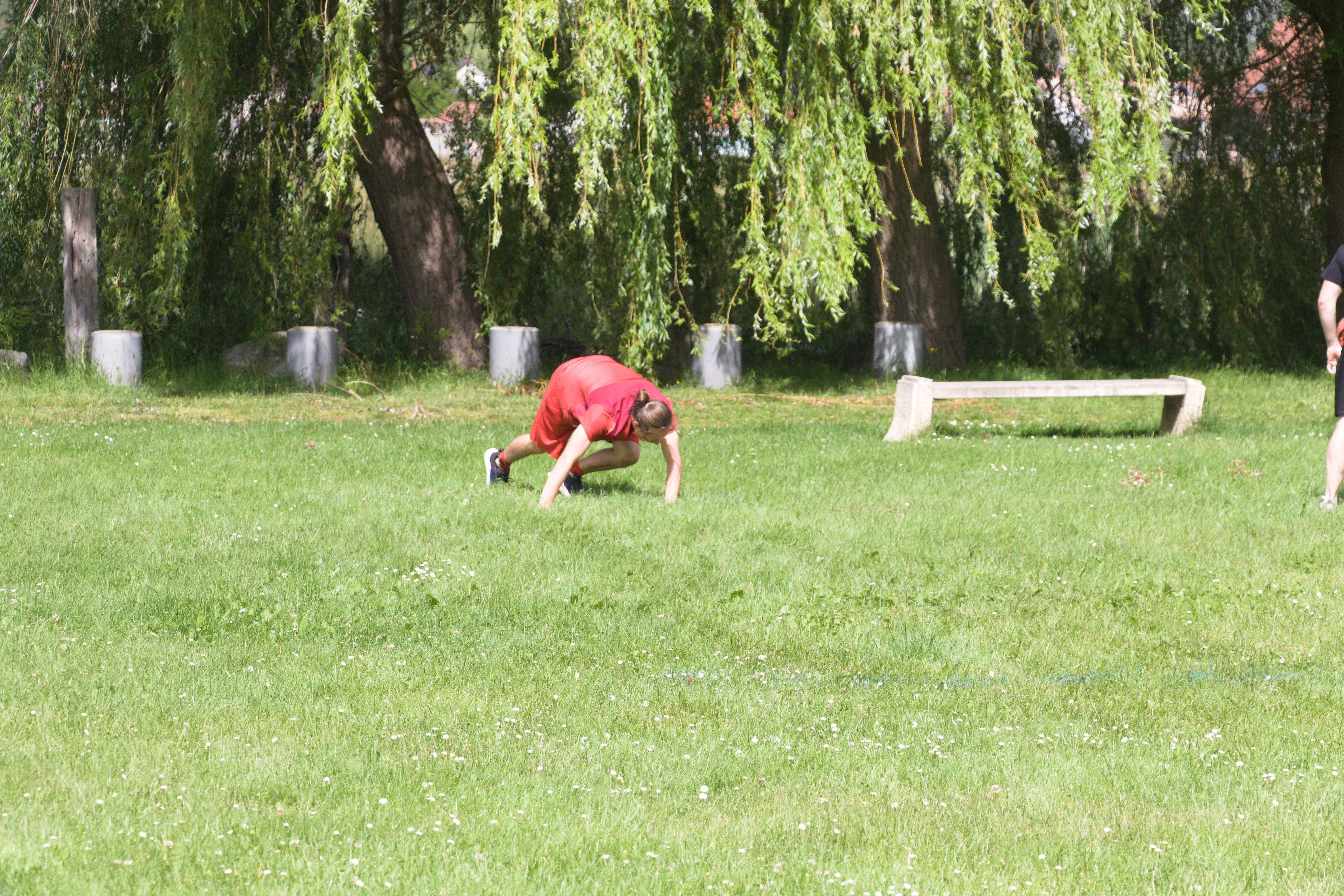 IMG_8030.jpg