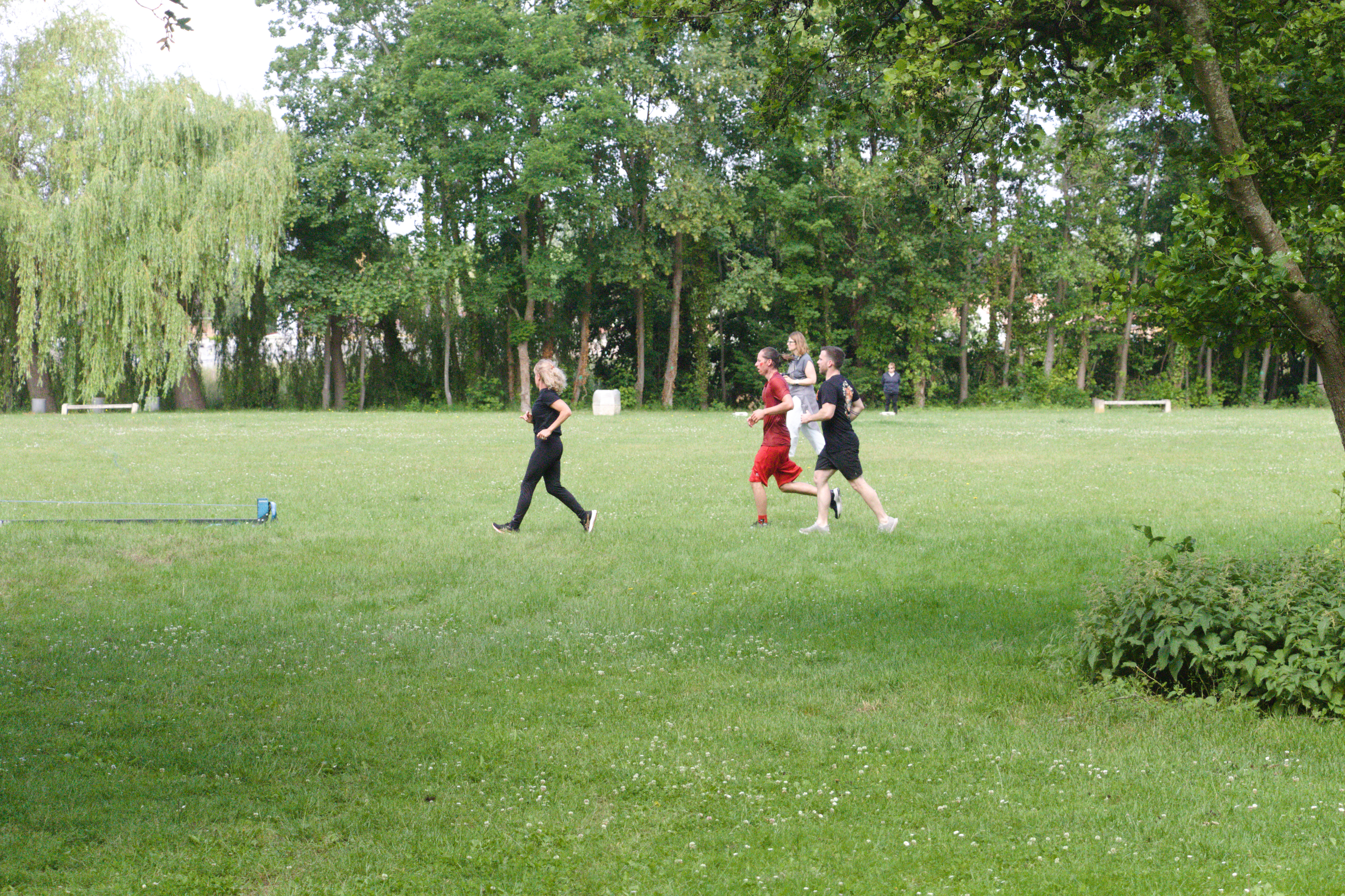 IMG_8053.jpg