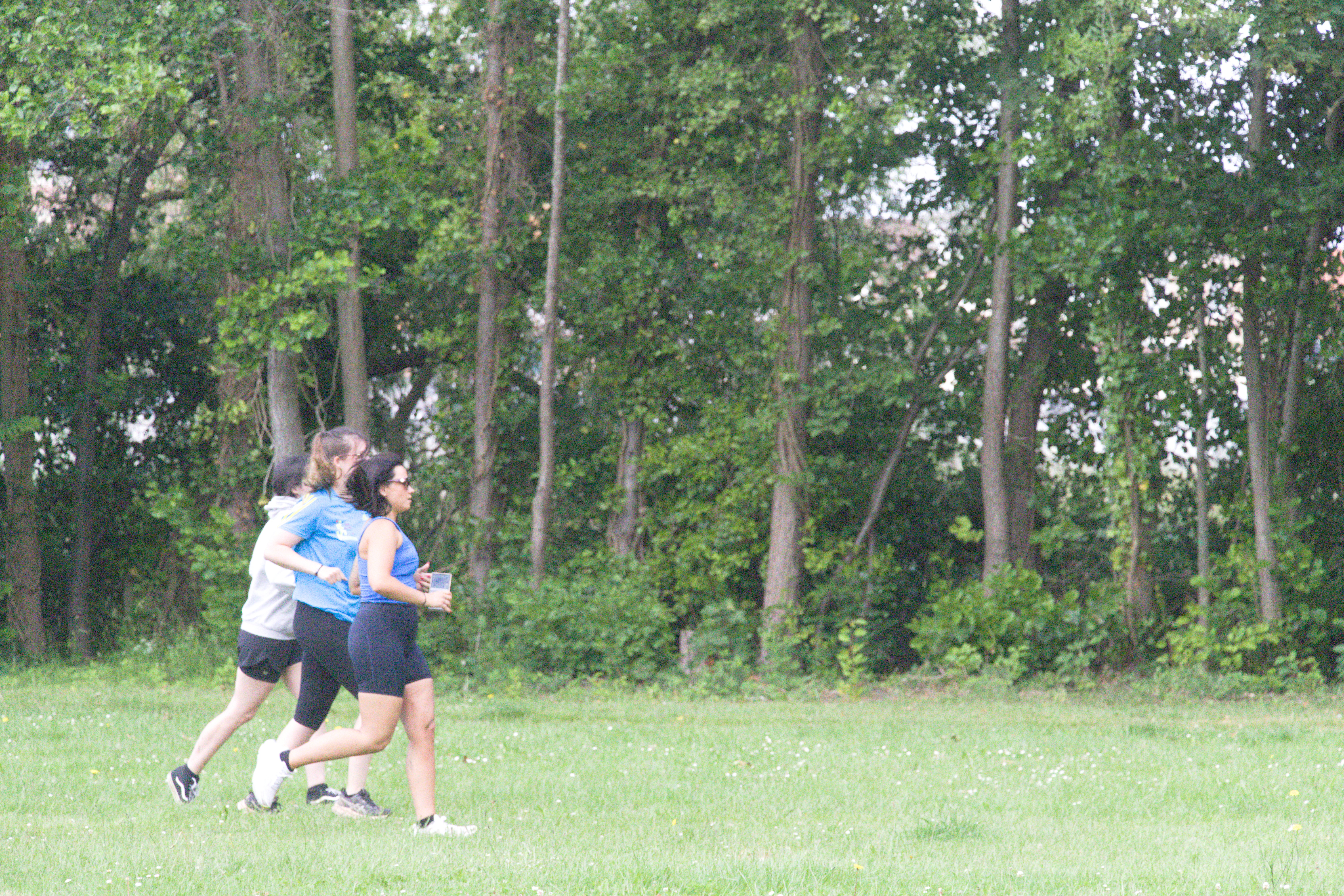 IMG_8071.jpg