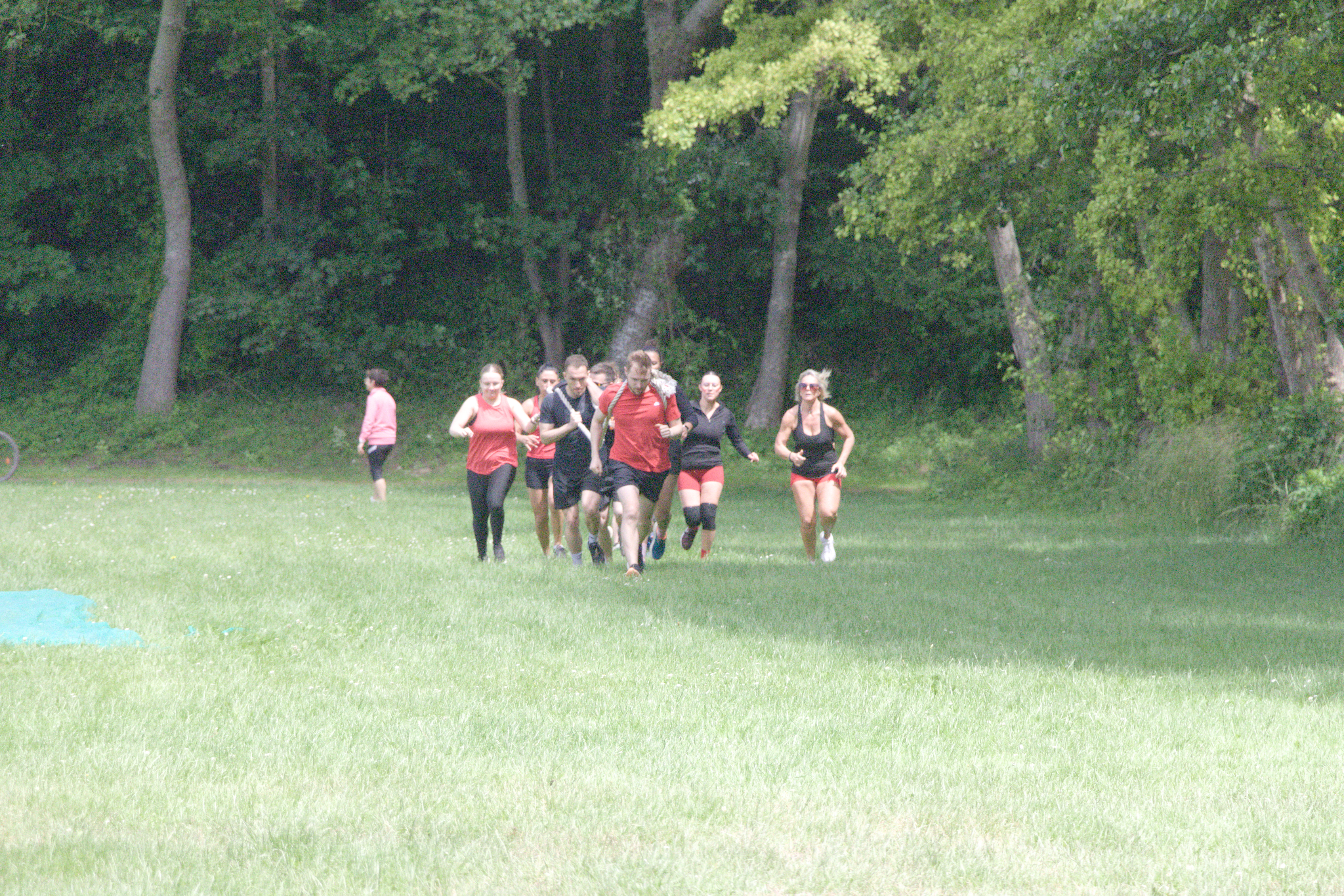 IMG_8186.jpg