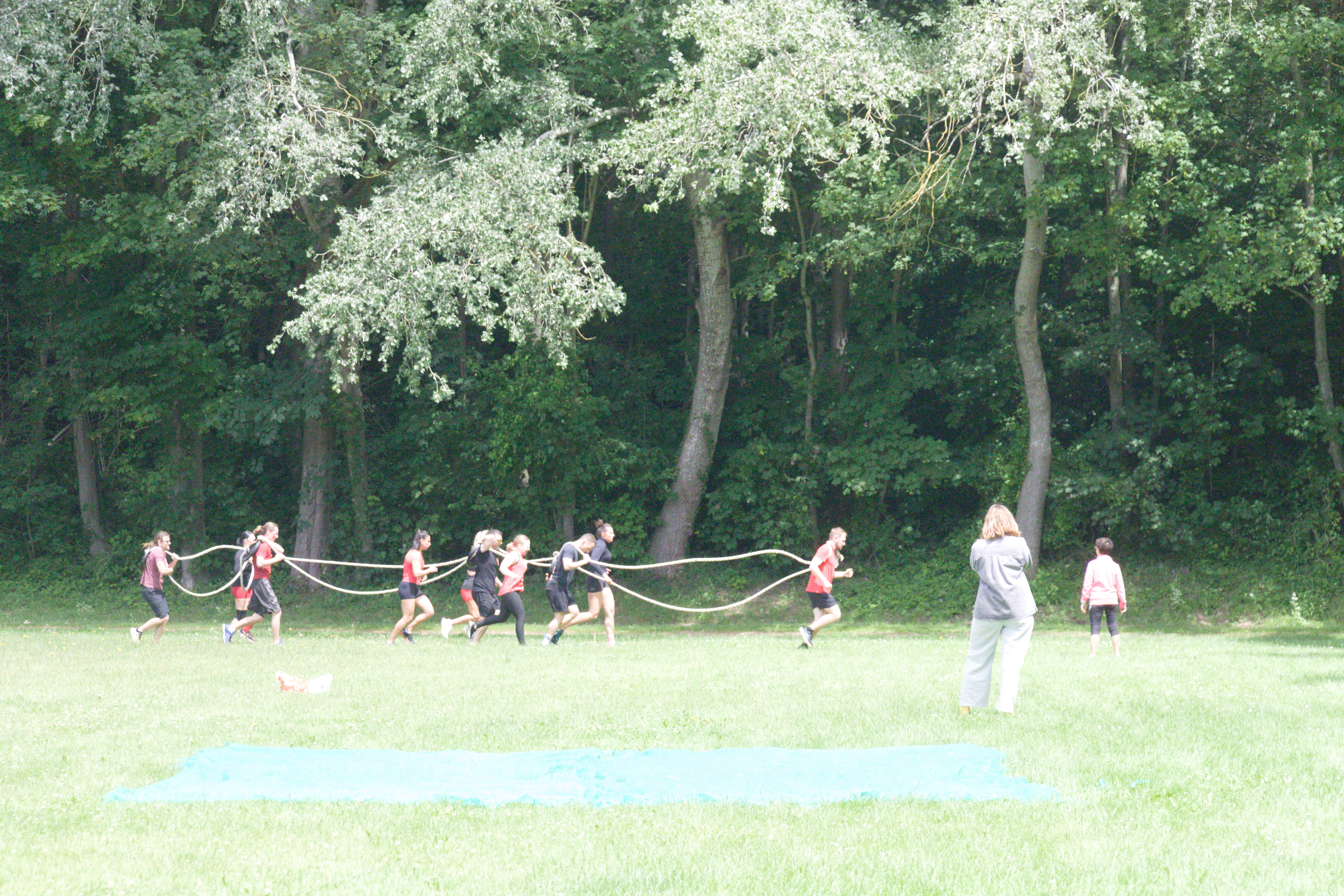 IMG_8192.jpg