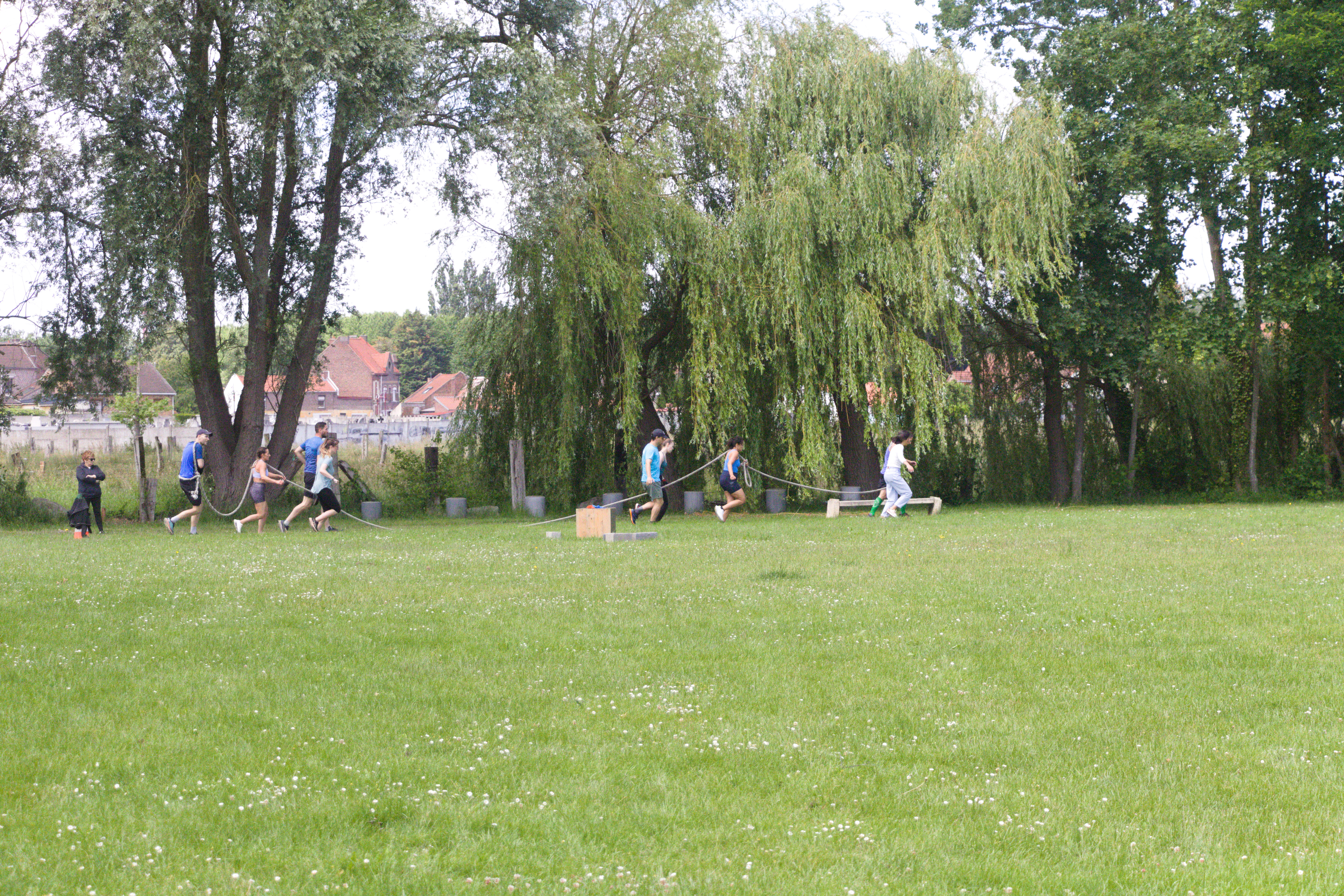 IMG_8193.jpg