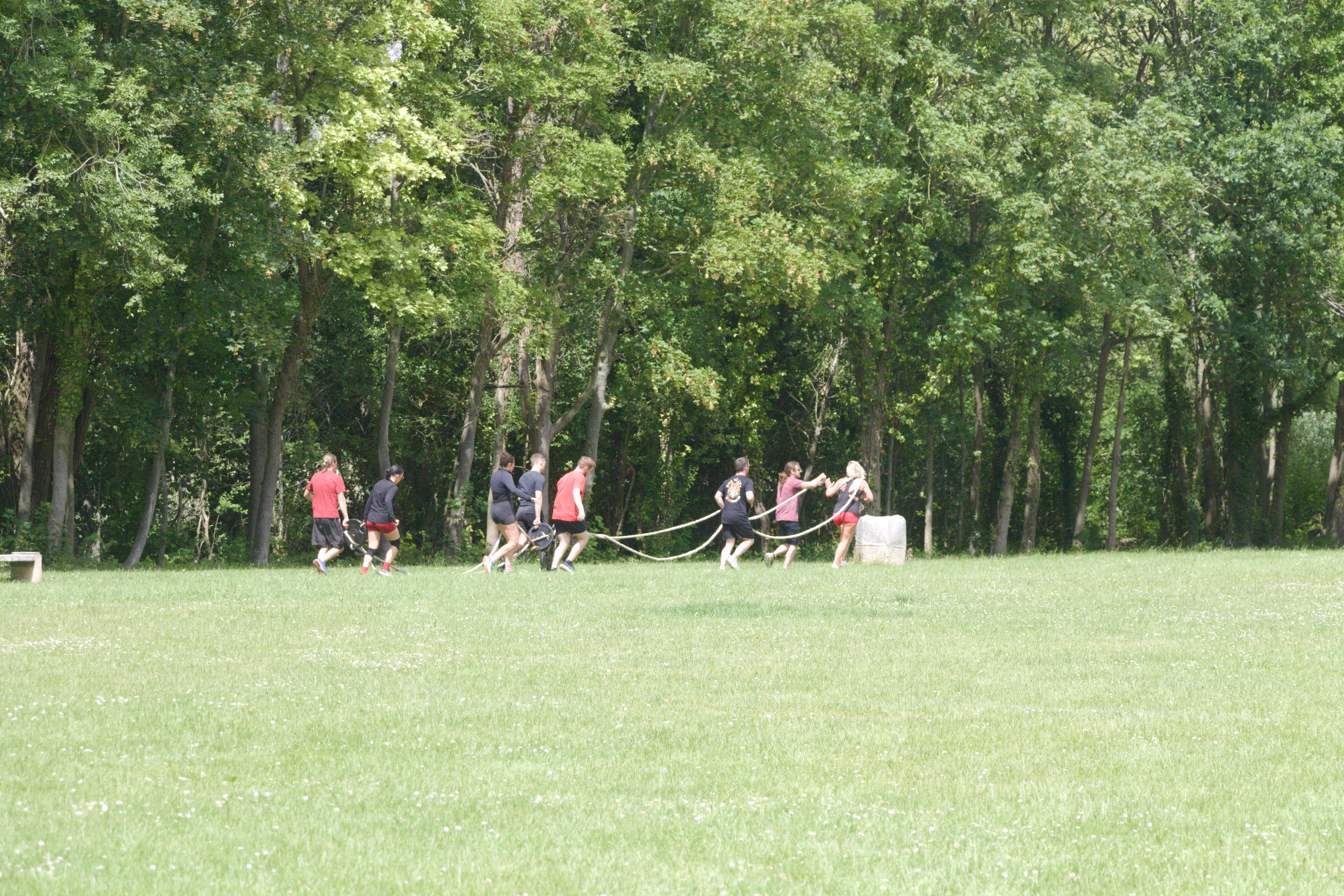 IMG_8207.jpg