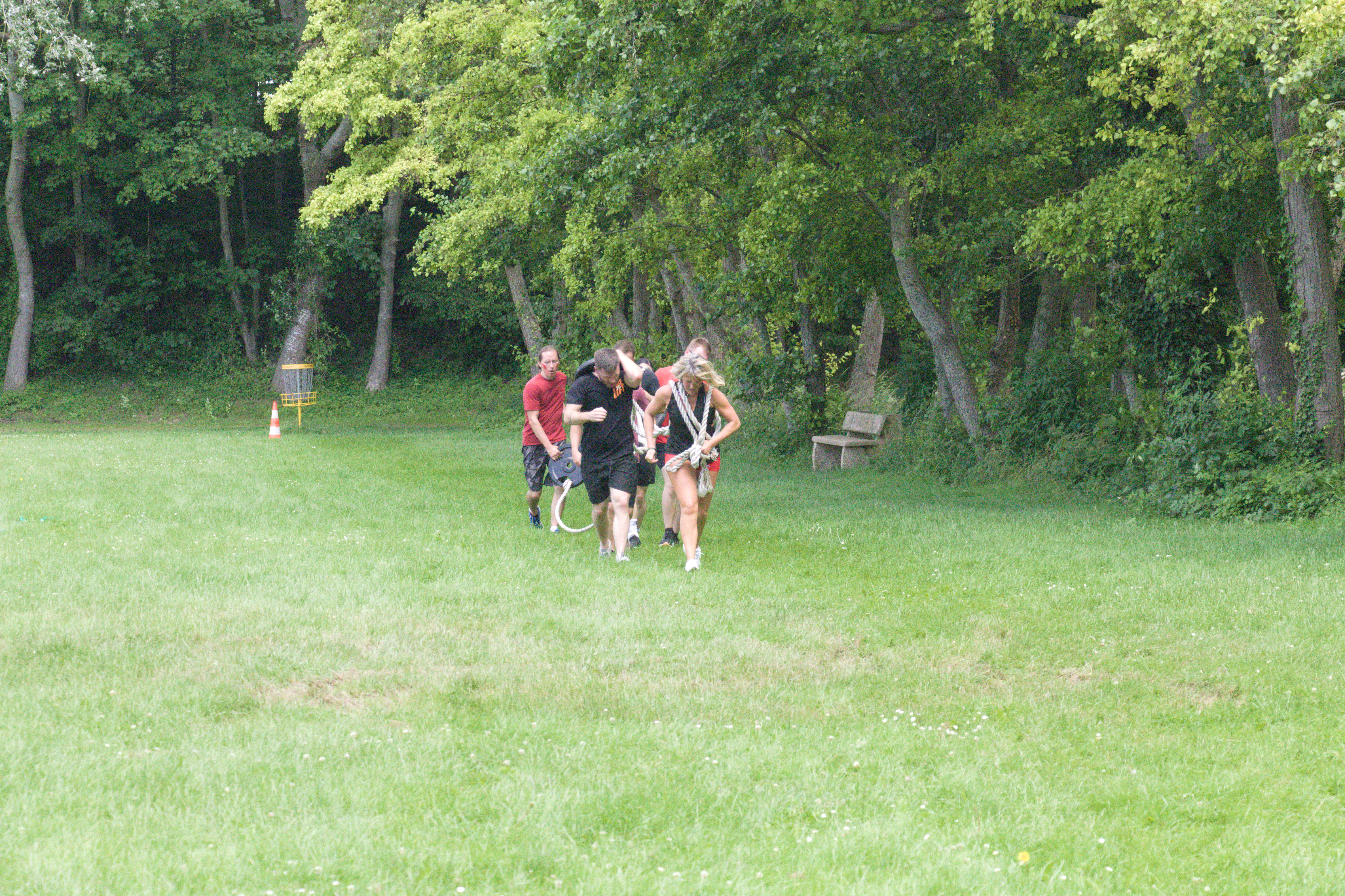 IMG_8217.jpg
