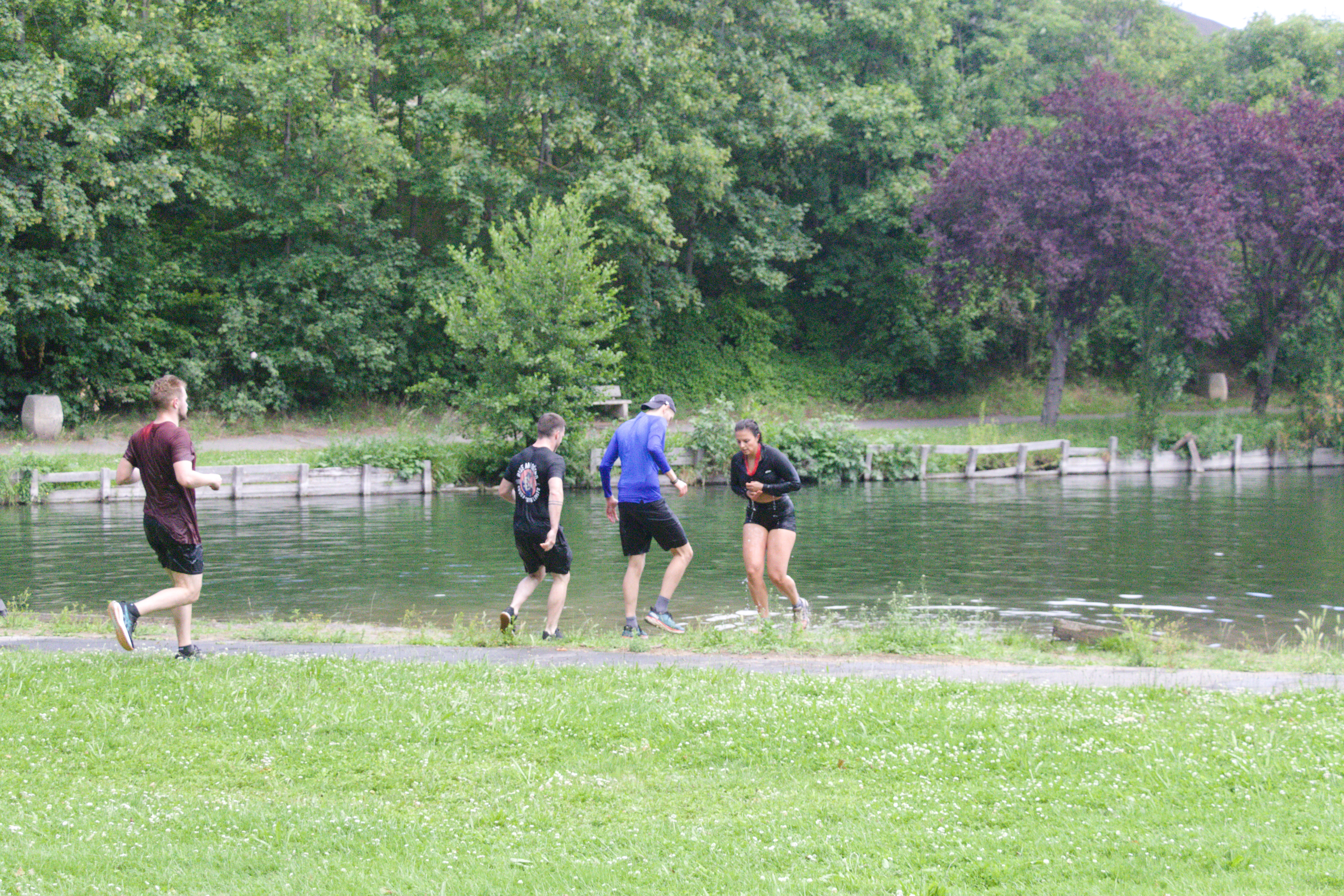 IMG_8264.jpg