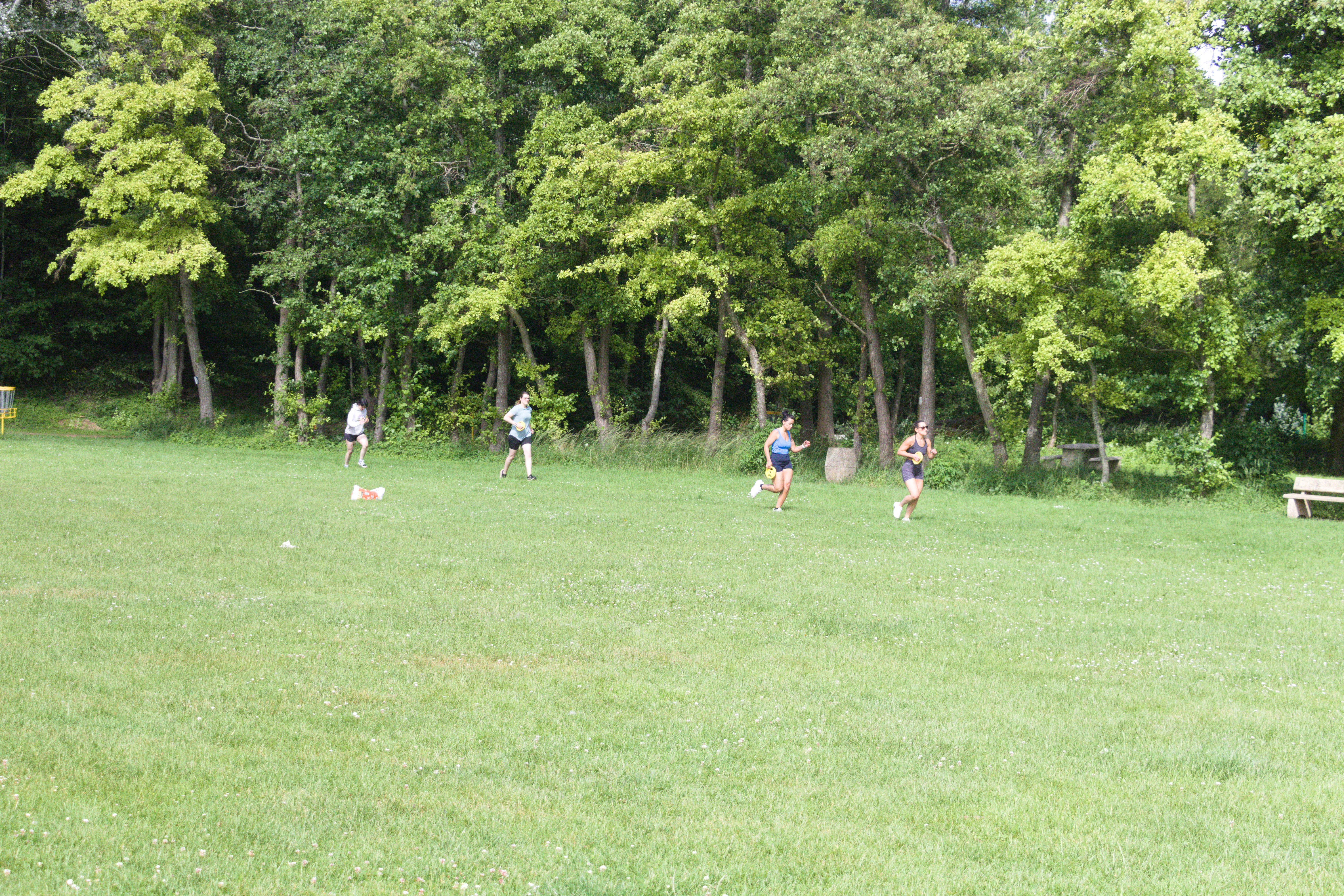 IMG_8390.jpg