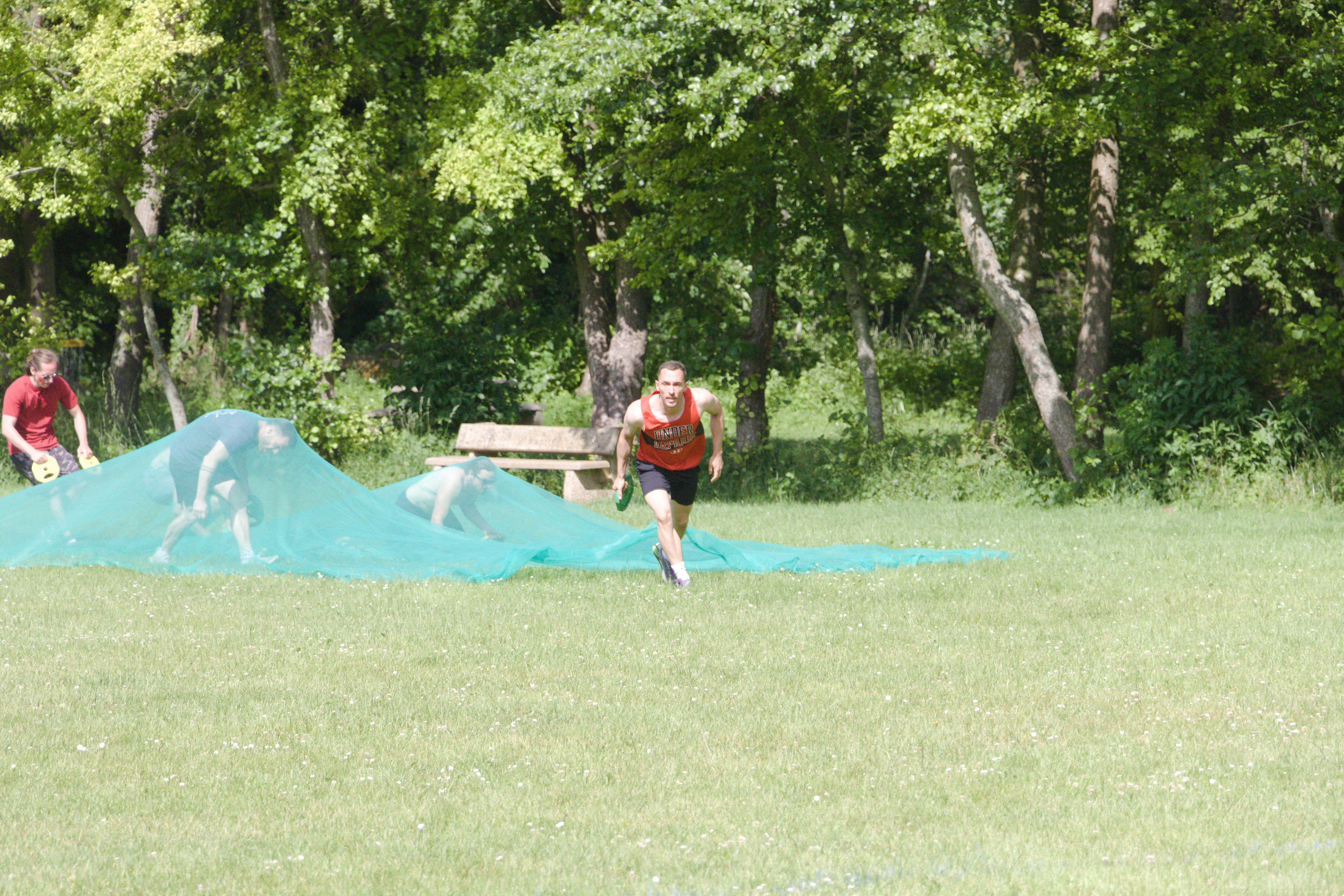 IMG_8411.jpg