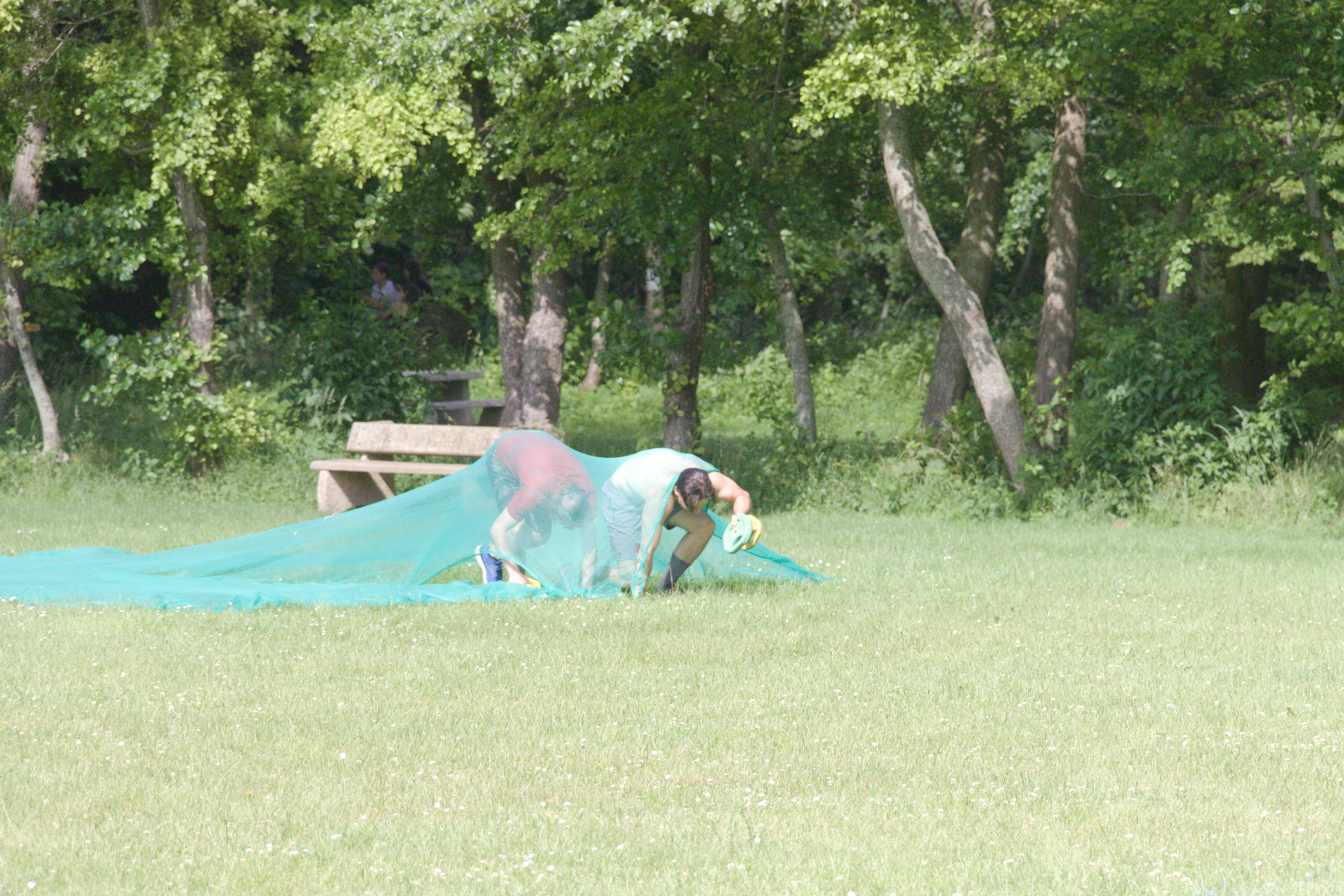 IMG_8422.jpg